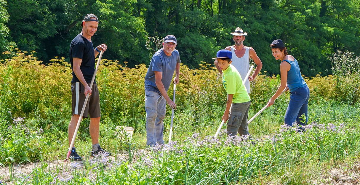 Menschen kümmern sich um die Felder