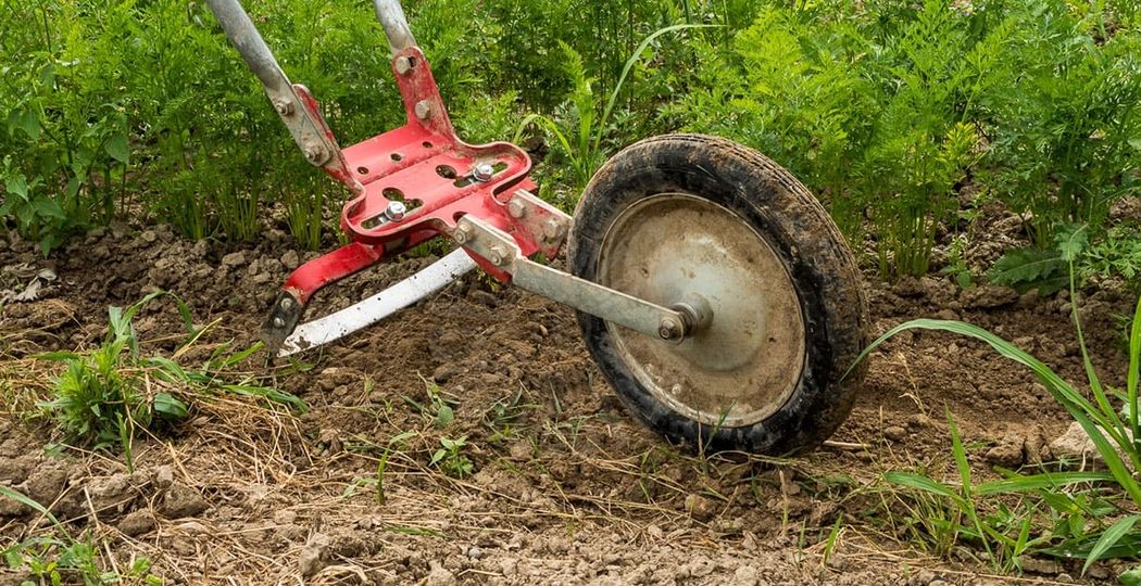 Handpflug auf einem Feld